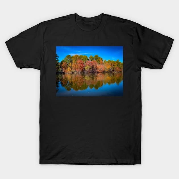 Little Mulberry Park T-Shirt by Ckauzmann